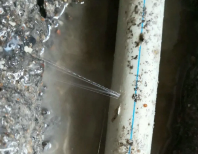 陇县测漏水哪家好