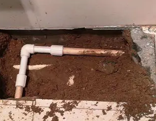 陇县测漏水哪家好