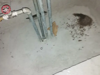 陇县卫生间测漏水价格明细