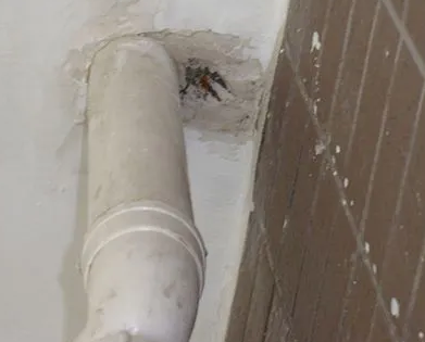 陇县漏水检测哪家好